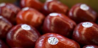 Washington Fruit Growers y Sinclair celebran más de 30 años de excelencia operativa en el etiquetado automatizado