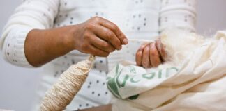 Artesanos innovadores: Fibra ancestral de ceibo, kits de fibras naturales y biocuero de pescado conquistan mercados con sostenibilidad y creatividad