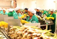 ADEX advierte venta ilegal de clorpirifós y alerta impacto en la salud y el agro peruano