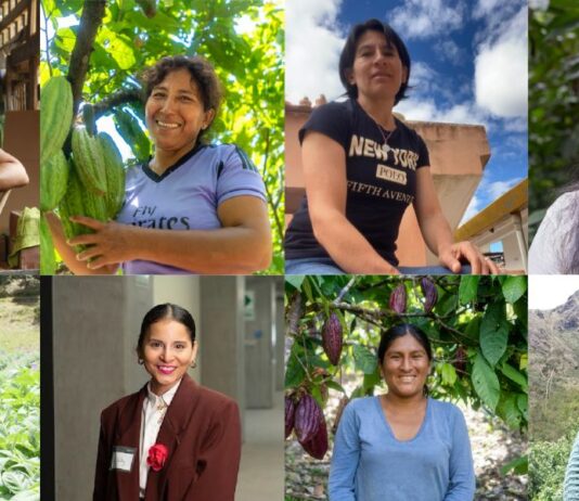 8M: Ocho peruanas que transforman sus comunidades impulsando la economía circular