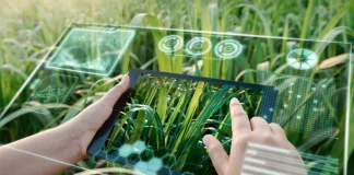 Hitachi Energy presenta EcoSpace™, su nueva plataforma digital de sostenibilidad