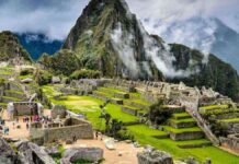 Perú impulsa reforestación en Machu Picchu con meta de un millón de árboles