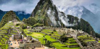 Perú impulsa reforestación en Machu Picchu con meta de un millón de árboles