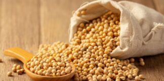 Alza de fertilizantes, petróleo y biocombustibles impulsa a la soja y reconfigura la siembra global