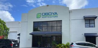 Oboya fortalece su operación en América Latina con nueva base directa en Miami