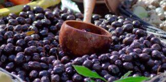 Agroexportaciones de Tacna crecen 19% y buscan escalar mercados con rueda de negocios de ADEX