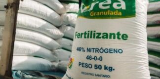 Perú importó más de 300 mil toneladas de urea en 2025 y expone rezago en petroquímica