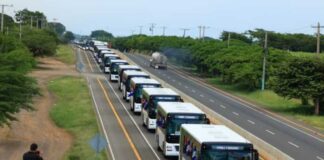 China refuerza su influencia en América Latina con exportación de más de 500 buses y acelera modernización del transporte público