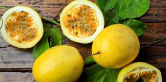 Agromercado impulsa inversión en maracuyá y granadilla para fortalecer exportaciones peruanas