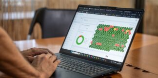 Software chileno que facilita la gestión de servicios aterriza en México