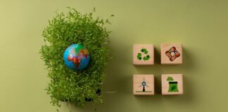 Día de la Tierra: cuatro tips para promover la sostenibilidad en la industria de la construcción