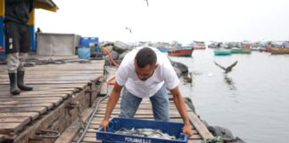 Día Mundial del Emprendimiento: ¿qué necesita hoy un negocio para crecer de forma sostenible en el Perú?