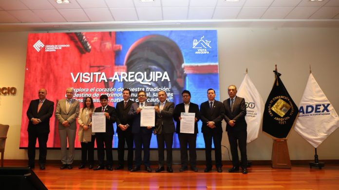 WEB - MEDIOS (2)
