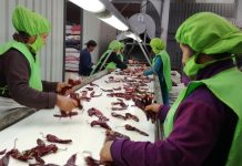 Exportaciones generaron más de 1,5 millones de empleos directos a marzo de 2026