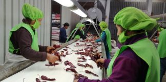Exportaciones generaron más de 1,5 millones de empleos directos a marzo de 2026
