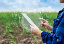 Del código al campo: Cómo las tecnologías digitales están transformando la agroindustria