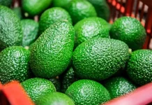 MIDAGRI destaca avance de producción agrícola y pecuaria en primer trimestre