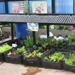 Sodexo refuerza su liderazgo en gestión ambiental junto a sus socios estratégicos en minería