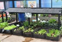 Sodexo refuerza su liderazgo en gestión ambiental junto a sus socios estratégicos en minería