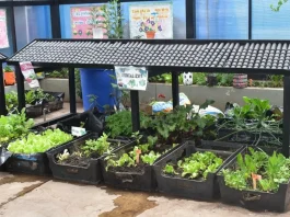 Sodexo refuerza su liderazgo en gestión ambiental junto a sus socios estratégicos en minería