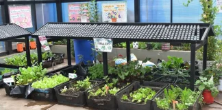 Sodexo refuerza su liderazgo en gestión ambiental junto a sus socios estratégicos en minería