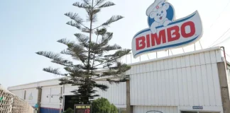Grupo Bimbo alcanza nutrición positiva en el 98% de su portafolio de consumo diario