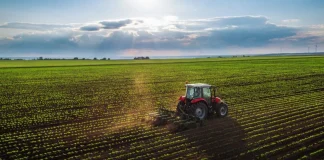 CIP plantea impulsar producción sostenible e infraestructura rural para enfrentar crisis alimentaria en el Perú
