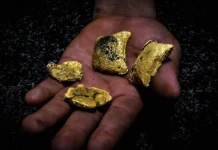 IIMP advierte riesgos por falta de trazabilidad en mecanismos de compra de oro frente a minería ilegal