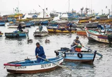 Produce avala con observaciones proyecto que reabre acceso a permisos para pesca artesanal no formalizada