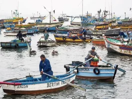 Produce avala con observaciones proyecto que reabre acceso a permisos para pesca artesanal no formalizada