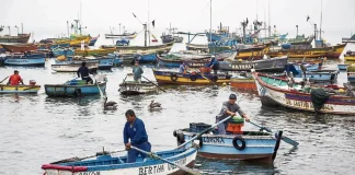 Produce avala con observaciones proyecto que reabre acceso a permisos para pesca artesanal no formalizada
