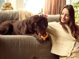 Más del 90% de compradores consulta por áreas pet friendly al evaluar un departamento