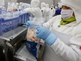 Registros sanitarios crecen 18.8 % y consolidan la comercialización segura de productos hidrobiológicos en el país