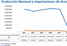 Idexcam advierte que paro arrocero pone en riesgo agroexportaciones y demanda soluciones inmediatas