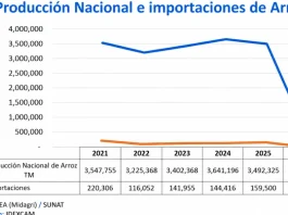 Idexcam advierte que paro arrocero pone en riesgo agroexportaciones y demanda soluciones inmediatas