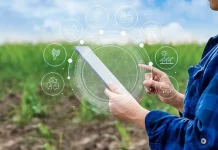 Agroindustria inteligente: el nuevo campo se gestiona con datos, satélites e IA