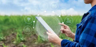 Agroindustria inteligente: el nuevo campo se gestiona con datos, satélites e IA