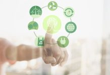 Día Mundial del Medio Ambiente: cinco iniciativas que las empresas pueden aplicar para reducir su impacto ambiental