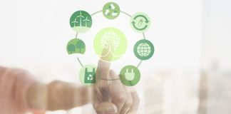 Día Mundial del Medio Ambiente: cinco iniciativas que las empresas pueden aplicar para reducir su impacto ambiental