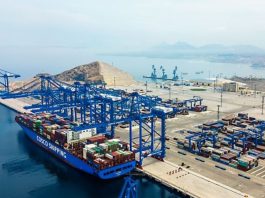 Megapuerto de Chancay supera los US$3.500 millones en exportaciones en su primer año de operaciones