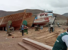 Pucusana: denuncian red de astilleros clandestinos y expansión de pesca ilegal en Lima