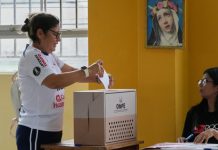 Especialistas europeos advierten: el próximo gobierno deberá reconstruir la confianza y gobernar para un país dividido