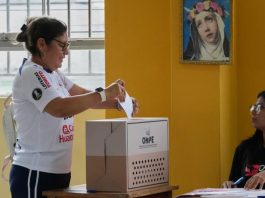 Especialistas europeos advierten: el próximo gobierno deberá reconstruir la confianza y gobernar para un país dividido