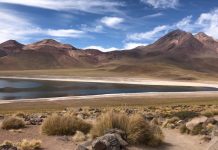 Minería: integrar sostenibilidad en los proyectos mineros impulsa su viabilidad