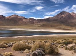 Minería: integrar sostenibilidad en los proyectos mineros impulsa su viabilidad