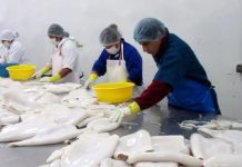 Exportaciones de alimentos pesqueros a Asia Oriental sumaron US$342 millones entre enero y abril de 2026