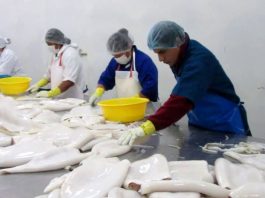 Exportaciones de alimentos pesqueros a Asia Oriental sumaron US$342 millones entre enero y abril de 2026