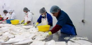 Exportaciones de alimentos pesqueros a Asia Oriental sumaron US$342 millones entre enero y abril de 2026