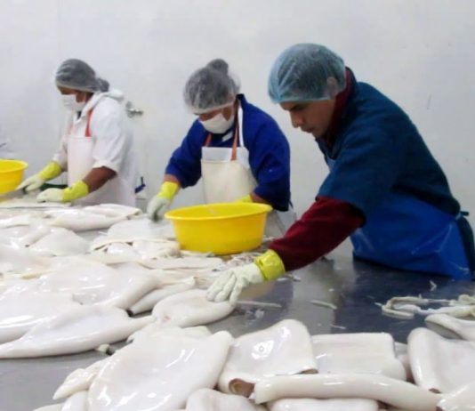 Exportaciones de alimentos pesqueros a Asia Oriental sumaron US$342 millones entre enero y abril de 2026