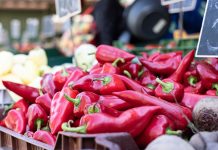 Exportaciones de pimiento piquillo peruano crecen 10.5% y superan los US$ 20 millones entre enero y abril